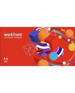 WorkFront high level Demo